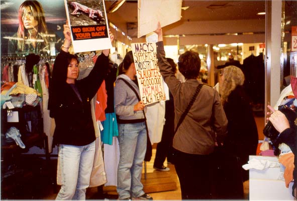 Activists hold signs and chant 